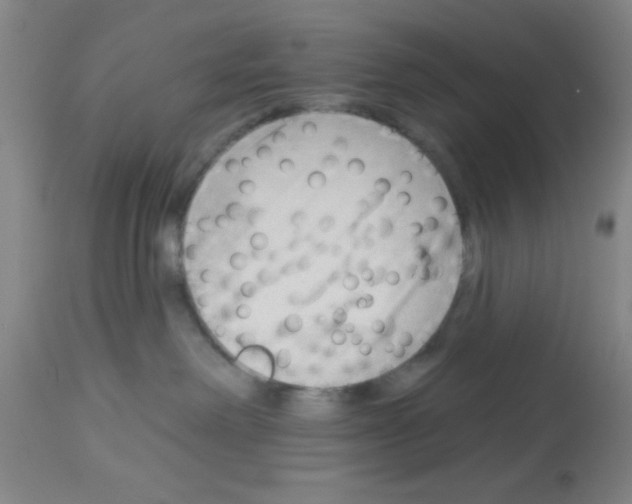 X0000113130238200910161140