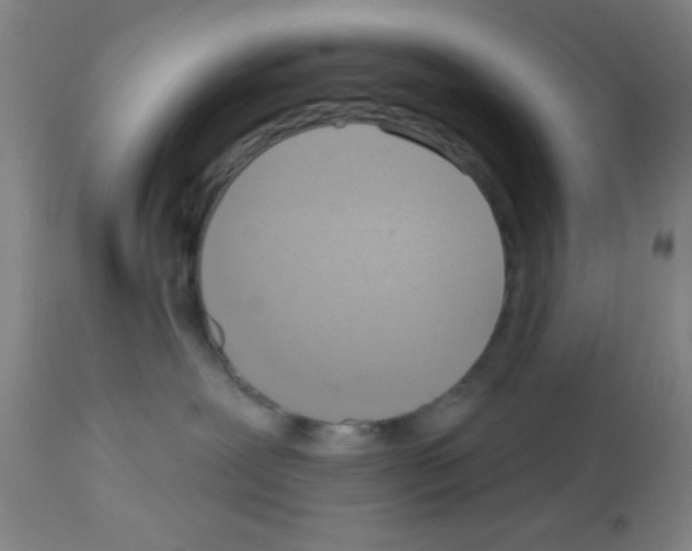 X0000113130239200910161140