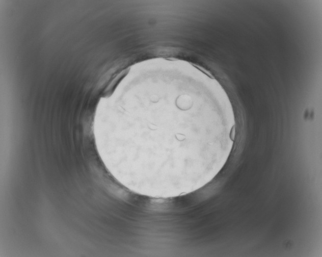 X0000113130240200910161140