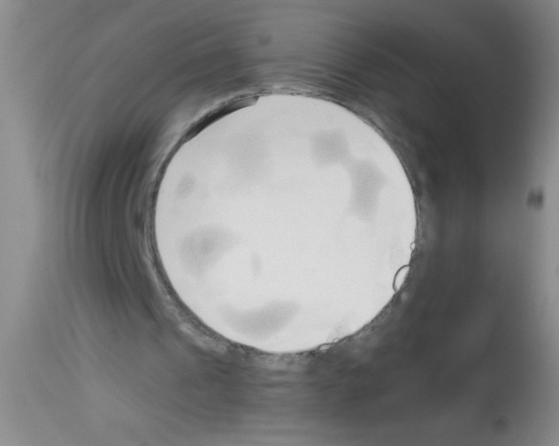 X0000113130241200910161139