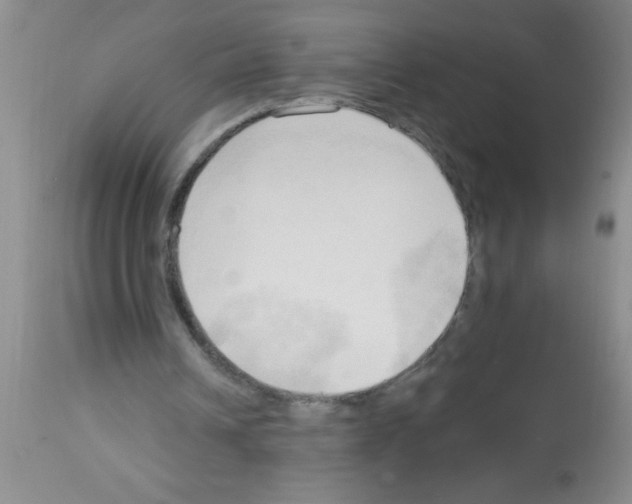 X0000113130242200910161139