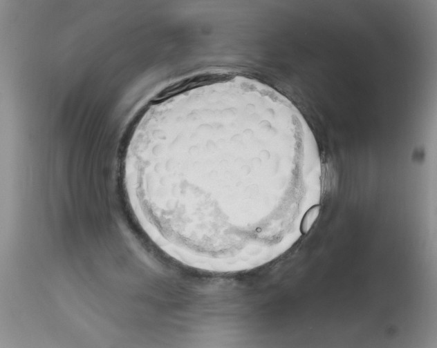 X0000113130243200910161139