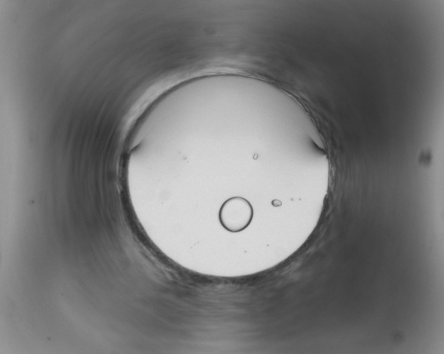 X0000113130244200910161139