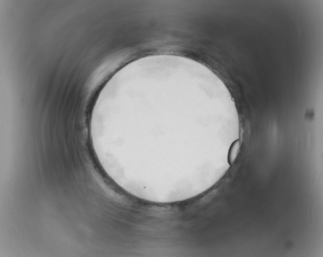 X0000113130245200910161139