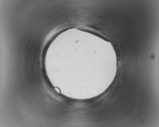 X0000113130246200910161139