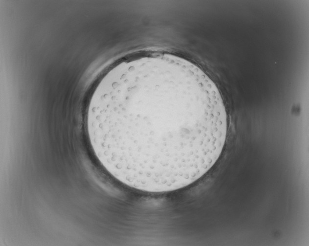 X0000113130247200910161139