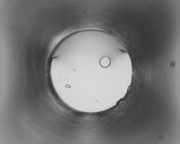 X0000113130248200910161139