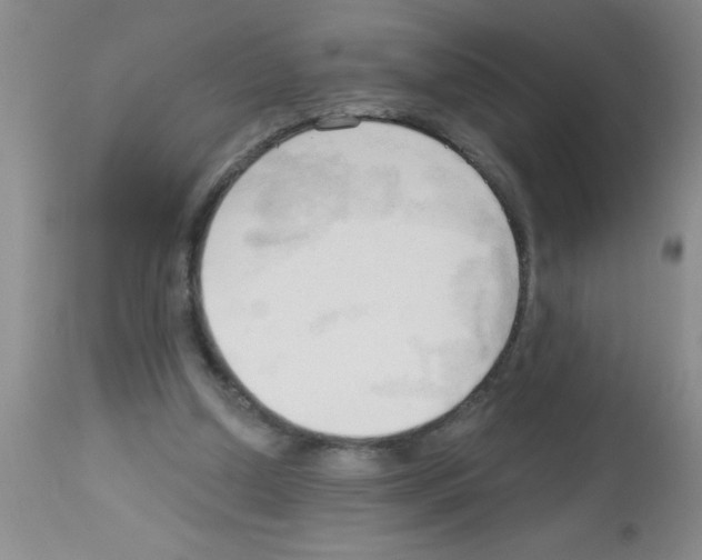 X0000113130250200910161139