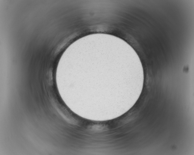 X0000113130251200910161139