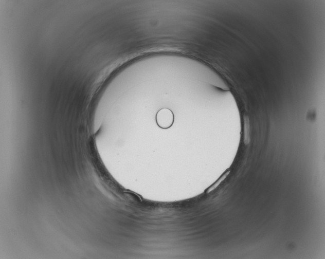 X0000113130252200910161139