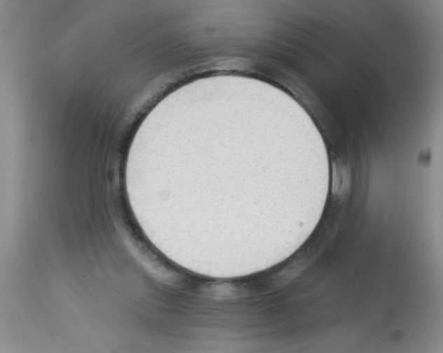 X0000113130253200910161139