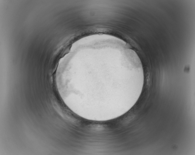 X0000113130254200910161139