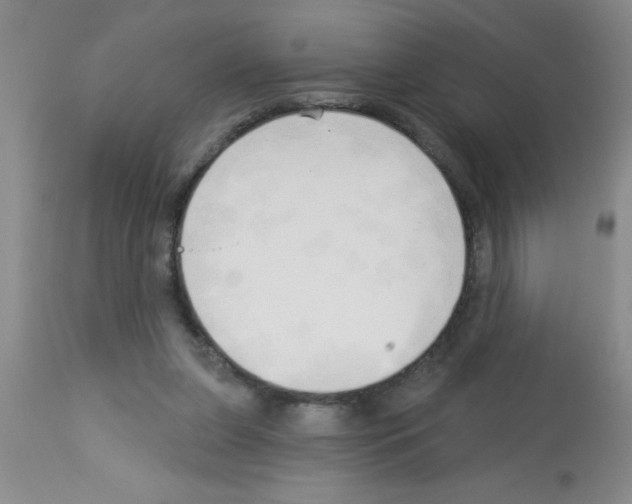 X0000113130255200910161139