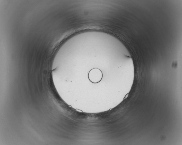 X0000113130256200910161139