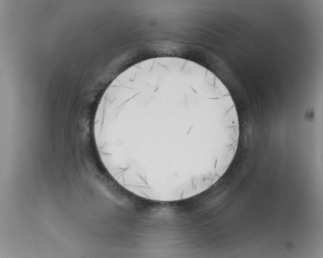 X0000113130259200910161139