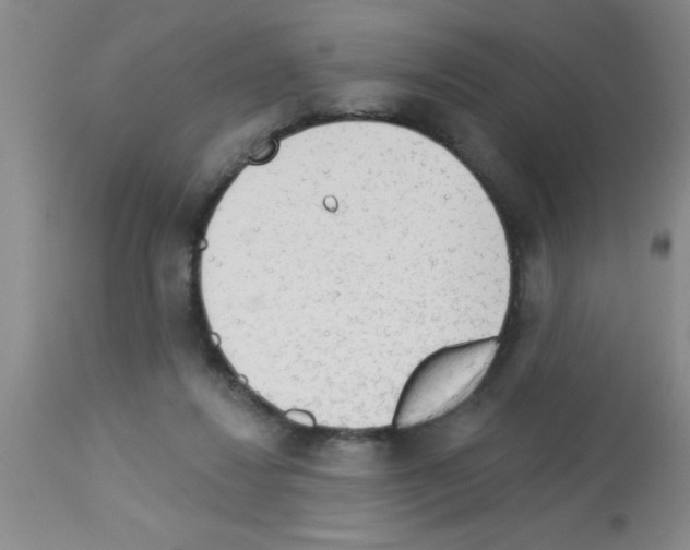 X0000113130260200910161139