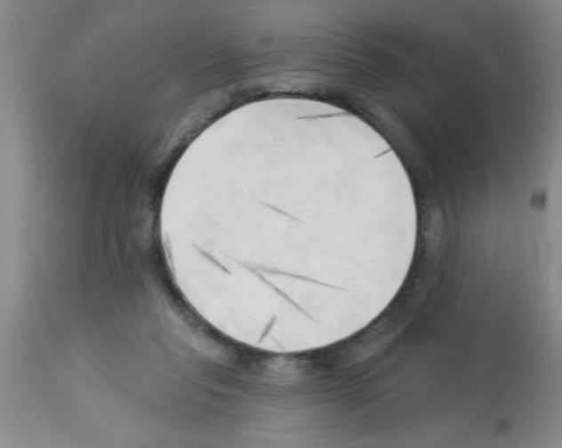 X0000113130261200910161139