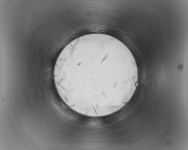 X0000113130263200910161139