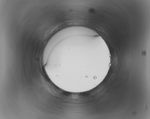 X0000113130264200910161139