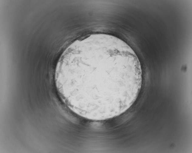 X0000113130265200910161139