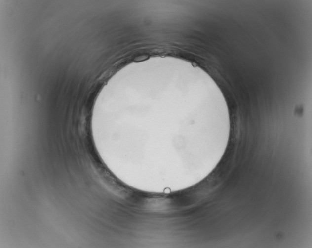 X0000113130266200910161139