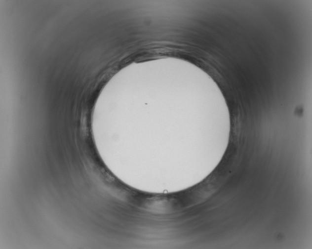 X0000113130267200910161139