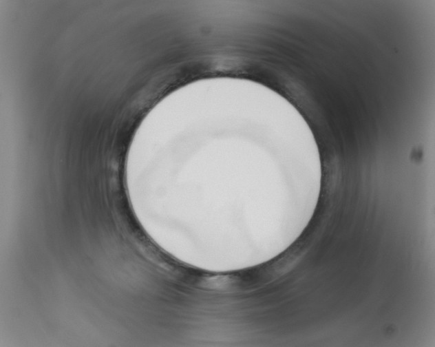 X0000113130269200910161139