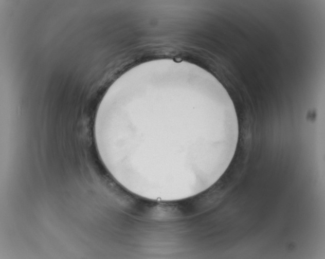 X0000113130270200910161139