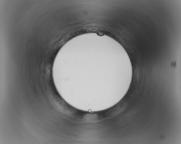 X0000113130271200910161139