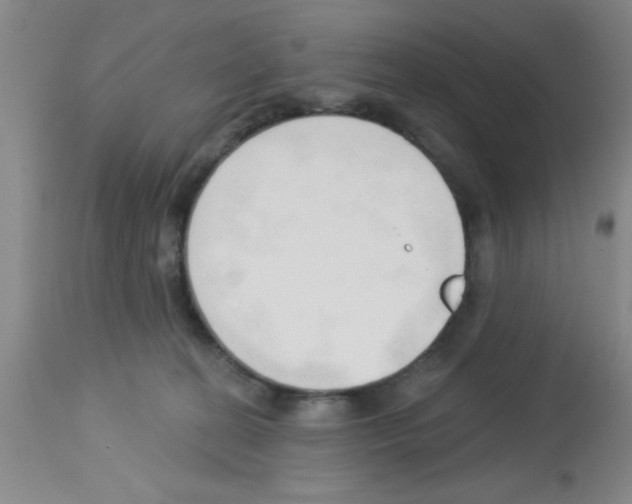 X0000113130274200910161139