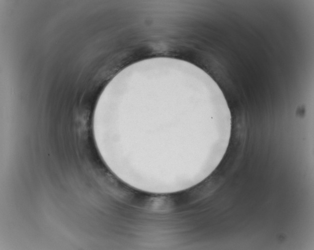 X0000113130275200910161140