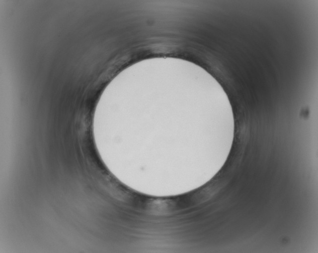 X0000113130277200910161140