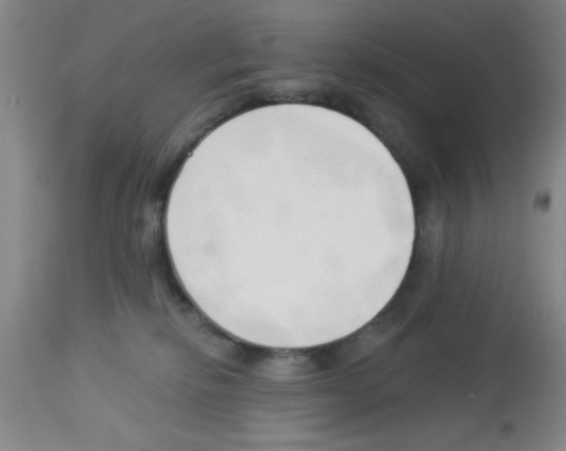 X0000113130278200910161140