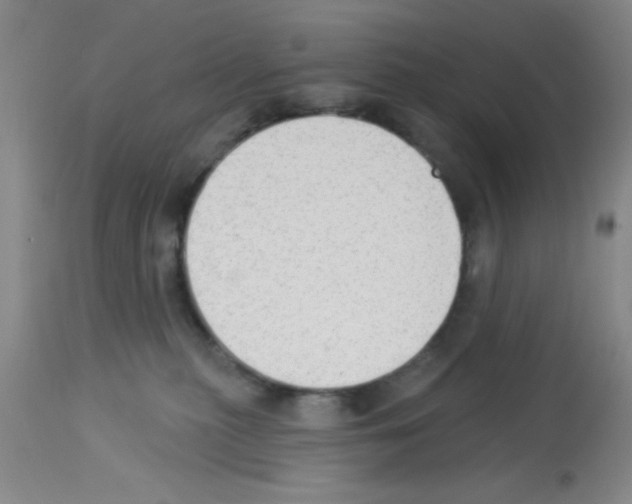 X0000113130279200910161140
