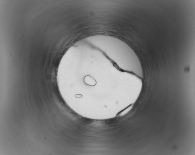 X0000113130280200910161140