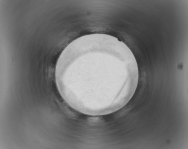 X0000113130281200910161140