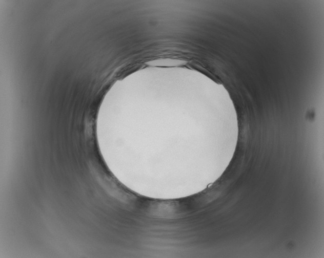 X0000113130282200910161140