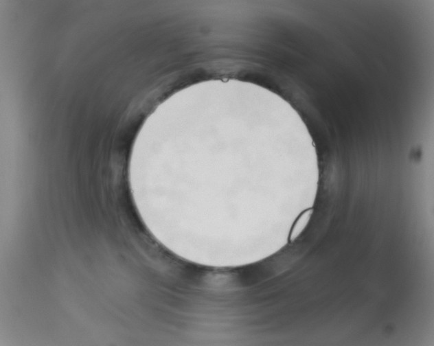 X0000113130283200910161140