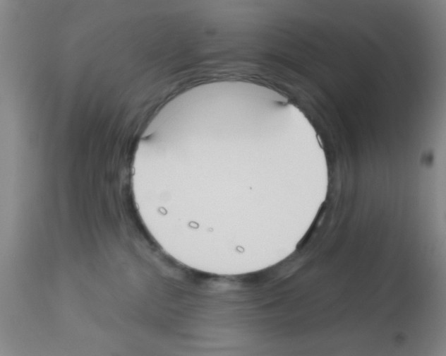 X0000113130284200910161140