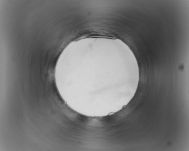 X0000113130285200910161140