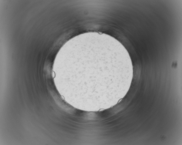 X0000113130287200910161140