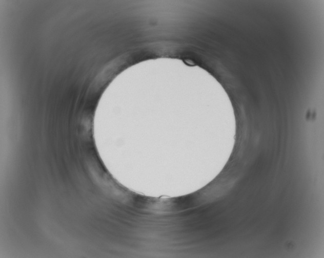 X0000113130288200910161140