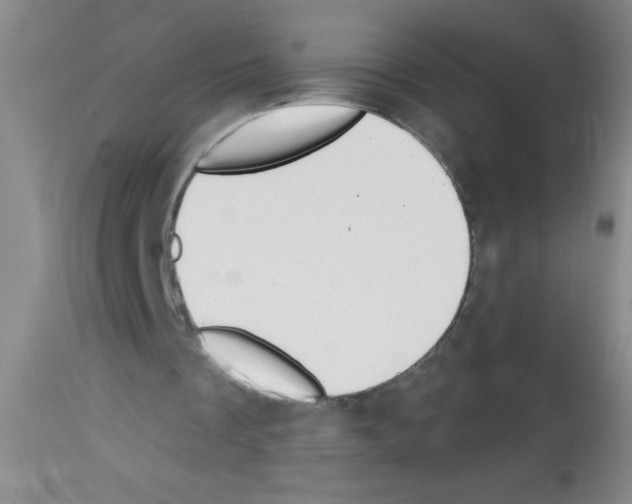 X0000113130289200910161139