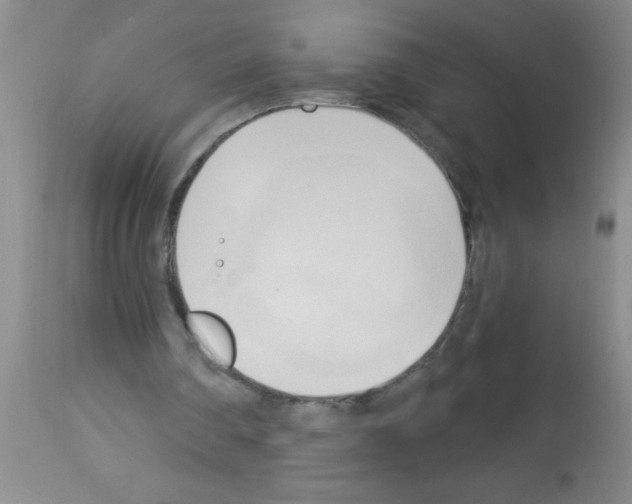X0000113130290200910161139