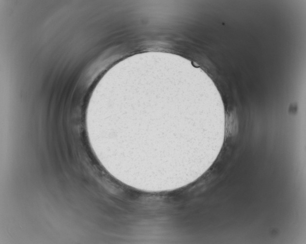 X0000113130291200910161139