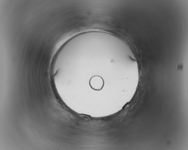 X0000113130292200910161139