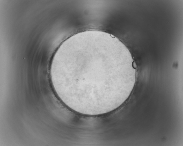 X0000113130293200910161139