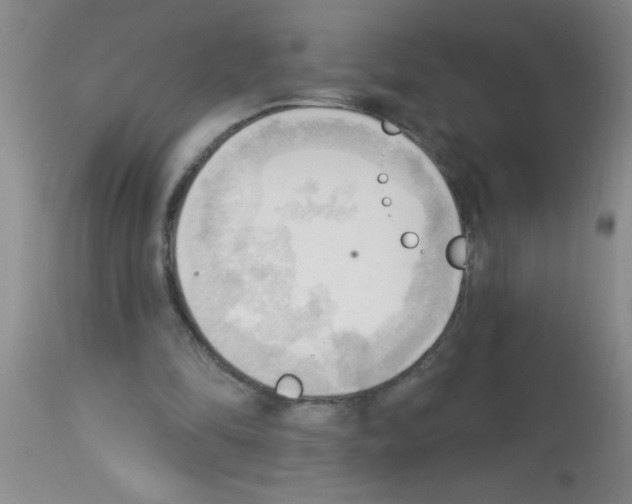 X0000113130294200910161139