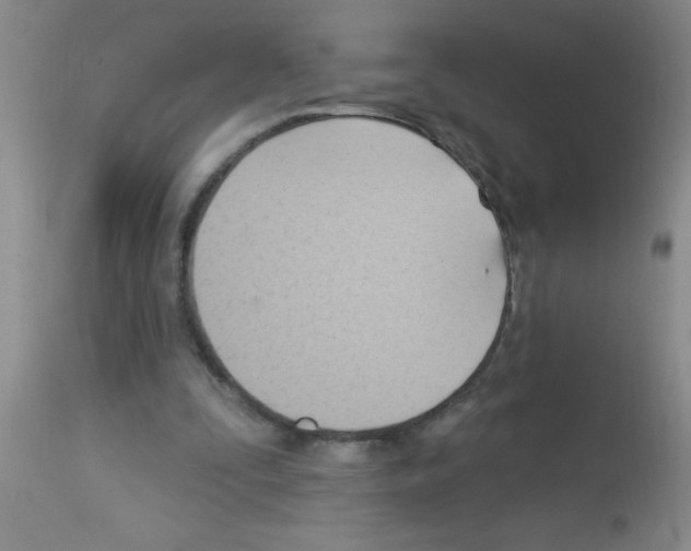 X0000113130295200910161139
