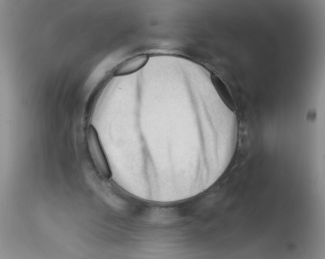 X0000113130296200910161139